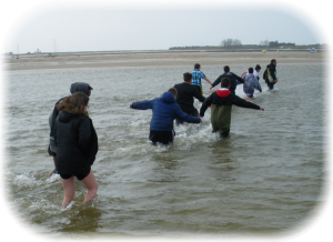 Traversée du Havre de Regnéville