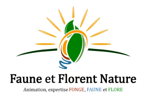 Logo final PNG1
