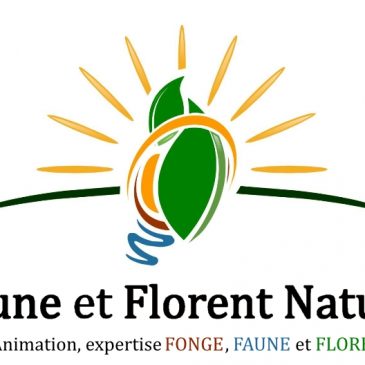 Création entreprise